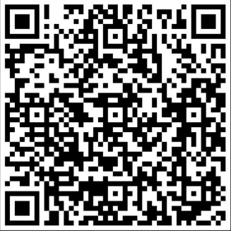 QR Code Pix - Lírio Católico